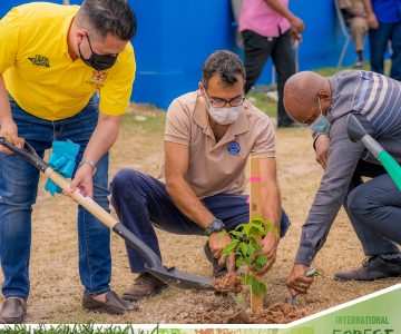 World forest day frame